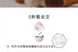 町芒评测：迷之奇趣蛋评测，是什么让孩子欲罢不能？图片