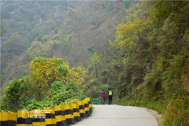 行走西安秦岭，小山村家家户户喝的山泉水，外人来接仅限两桶图片