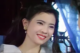 谈及蓝洁瑛事件，陈惠敏：“我了解真相！”图片