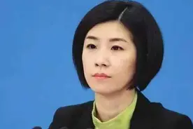 最美四大外交翻译天团图片