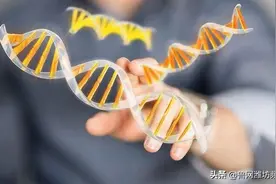 潍坊市首家法医物证亲子鉴定机构获批成立图片