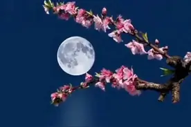 一篇毒害现代女性的毒鸡汤……图片
