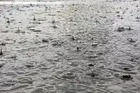 杭州发布暴雨黄色预警！怕内裤晒不干，浙江人两天囤了154万条内裤…图片