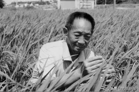 学生眼中的袁隆平：杂交水稻是他的命根子，他的魂图片