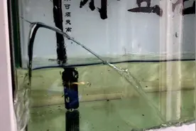 为什么水位高的热弯鱼缸容易破裂？这次终于说明白了，值得收藏图片