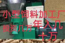 农村开家饲料加工厂，原来赚钱如此简单图片