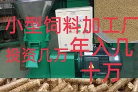 农村开家饲料加工厂，原来赚钱如此简单图片
