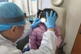 妈妈一巴掌下去，对孩子的影响有多大？看完再也不打骂孩子了图片