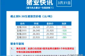 养猪人福利：“真猪贷”来了，一头生猪可申请2000元贷款图片