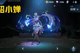 近战法师有多可怕？貂蝉诸葛不算什么，最后两位堪称近战天花板图片