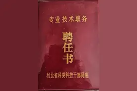 我眼中的事业单位（三）职称的晋升之资格图片