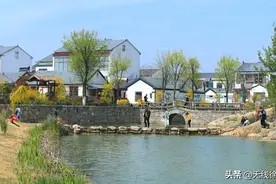 睢宁县王集镇洪山村：小山村鲤鱼跃龙门 农乡化蝶今胜昔图片