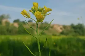 推文2】10本必看现代高干小说，一见钟情，二见倾心，三见定终身图片
