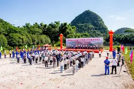 【聚焦项目建设】我县28个重大项目集中开竣工，总投资31.22亿元图片