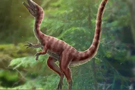 古生物学家在中国发现美颌龙类新物种图片