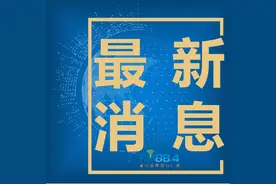 武汉市人社局发布暂停部分窗口对外服务的通告图片