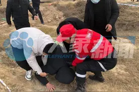 痛心！郑州失联10天母子遗体相继被发现 两河段相距仅2公里图片
