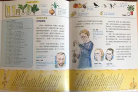 科普绘本《化学家月历》：科学理性与生活诗意并存的化学趣史图片