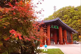 本溪这九处赏枫景区的枫叶已飘红图片