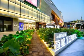 闹市城中，惊现仲夏之荷图片