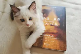 慢下来，深呼吸；不要急，想清楚——看达芬奇如何《成为达芬奇》图片