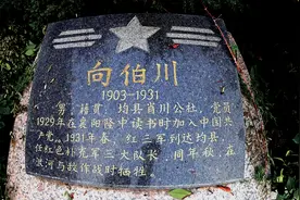 十堰籍红军营长向伯川的故事图片