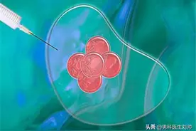 人工授精技术操作图片