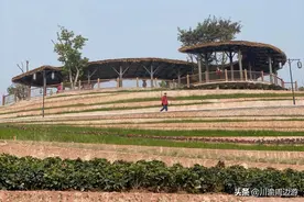 重庆首个古风公园，新晋网红打卡地，正式免费对外开放图片