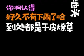 复产复工？别忘了防火防盗！听听民警广播大喇叭是怎么说的~图片