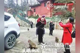 背81岁瘫痪母亲到贵州看猴，天天正能量奖励这位湖南孝子5000元奖金图片