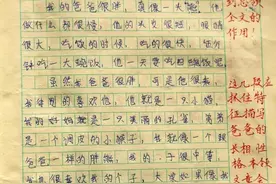 小学女教师的手写体作业批改，不仅工整美观，而且还写出了书法范图片