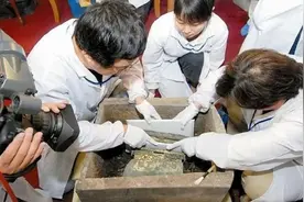 四神护佑，蝴蝶结捆扎，太山龙泉寺“四神棺”有何玄机？图片