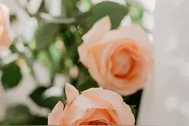 如狼一样“狠心”的星座，表面上看起来没威胁，却恰恰是最狠心的图片