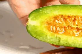 甜瓜“羊角蜜”，外表其貌不扬，果肉多汁甜如蜜，连籽带瓤都能吃图片
