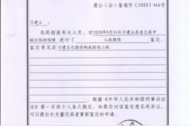 河南村民遭打断7根肋骨续：被认定构成轻伤二级，系故意伤害案图片