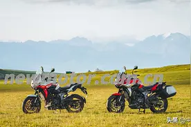 怎么看赛科龙和他的RX6？图片
