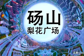 中国梨都——砀山梨花广场图片