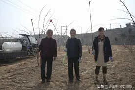 七旬大妈带领女儿孙媳在大山脚下给花椒树打药，看看她们是咋干的图片