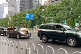 泪别袁隆平！雕像下围成花海，长沙市菊花被买空，鸣笛声响彻天际图片