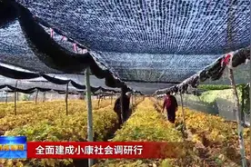 八粒种子铺就小康路图片