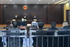 捕猎眼镜王蛇，判刑！图片