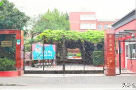 上海10所头牌公办小学大盘点！师资雄厚、家长反馈超赞图片