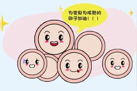 “卵美人”长啥样呢？图片