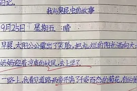 家长晒一年级孩子满分日记，书面整洁书写工整，老师直夸难得一见图片