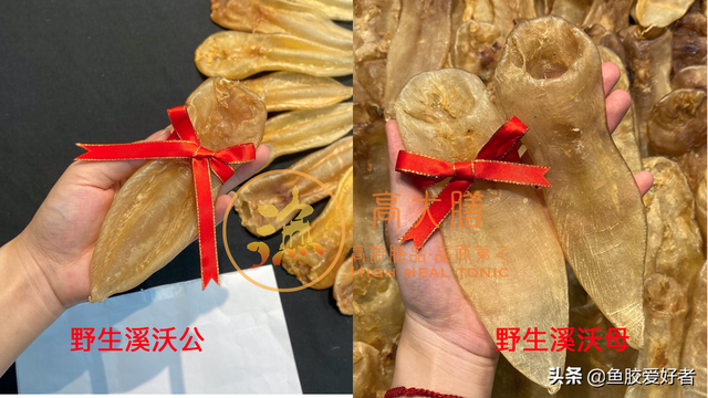 巴基斯坦白花胶 2026年巴基斯坦白花胶的功效