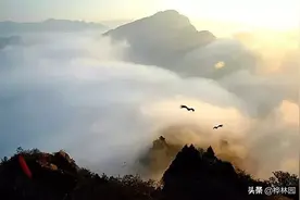 五千多位隐士藏身终南山 过着千年前的生活图片