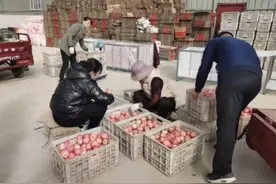 岐山县青化镇：集体经济结硕果 惠民补贴暖人心图片
