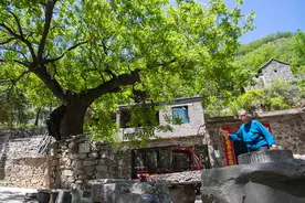 深山一户人家一个村，古槐树、石头寨罕见，老太太七次进城相儿媳图片