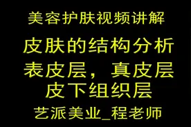 皮肤的结构分析-表皮层-真皮层-皮下组织层视频封面