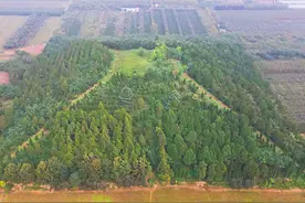 1400年前的皇帝陵墓、住着守陵人的小村庄，陕西杨凌不简单图片